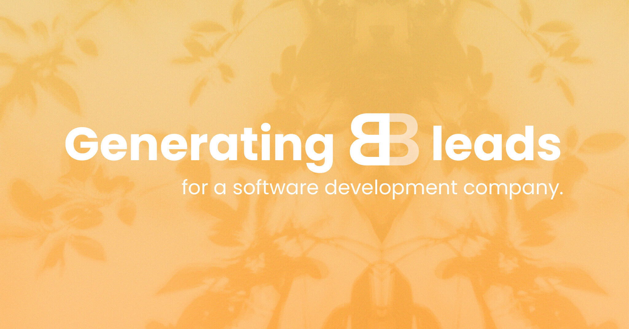 Generating B2B leads for a software development company