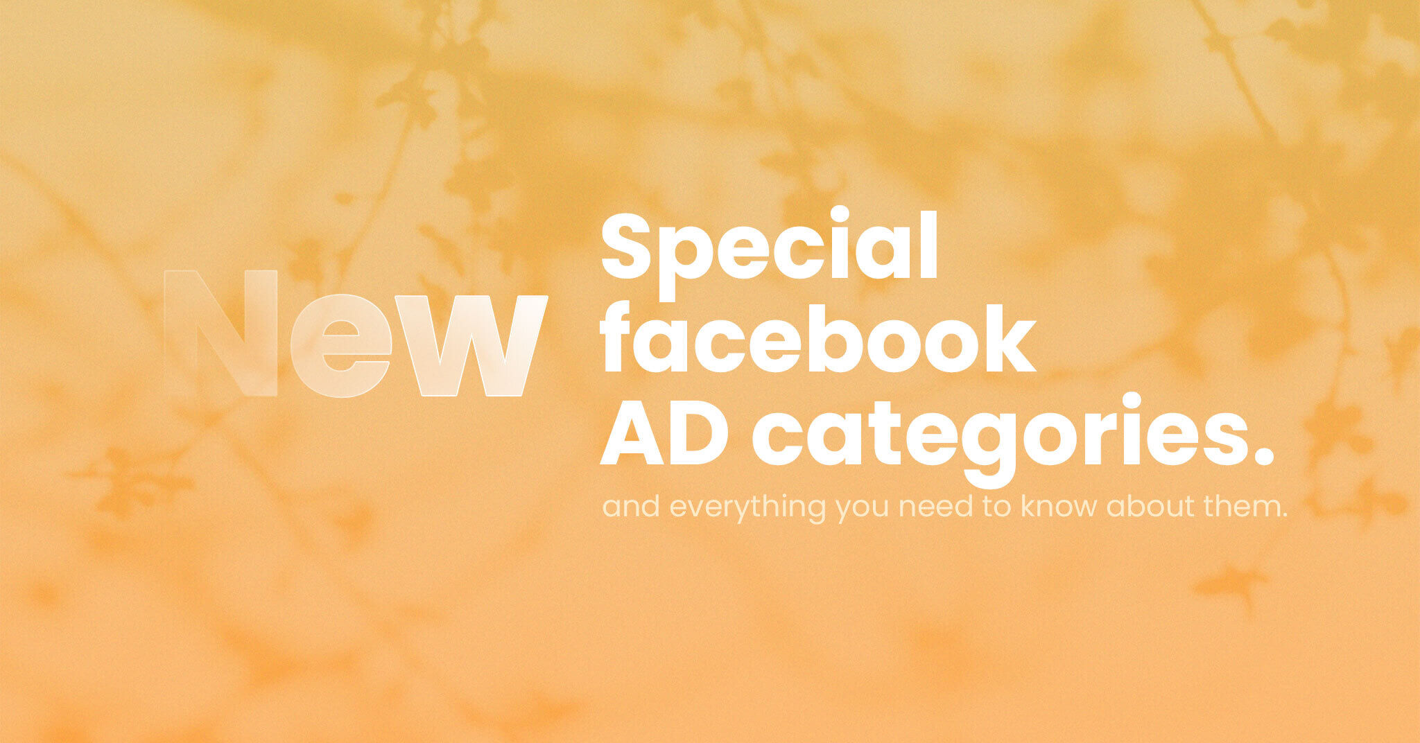 Special Facebook ad categories – everything you need to know