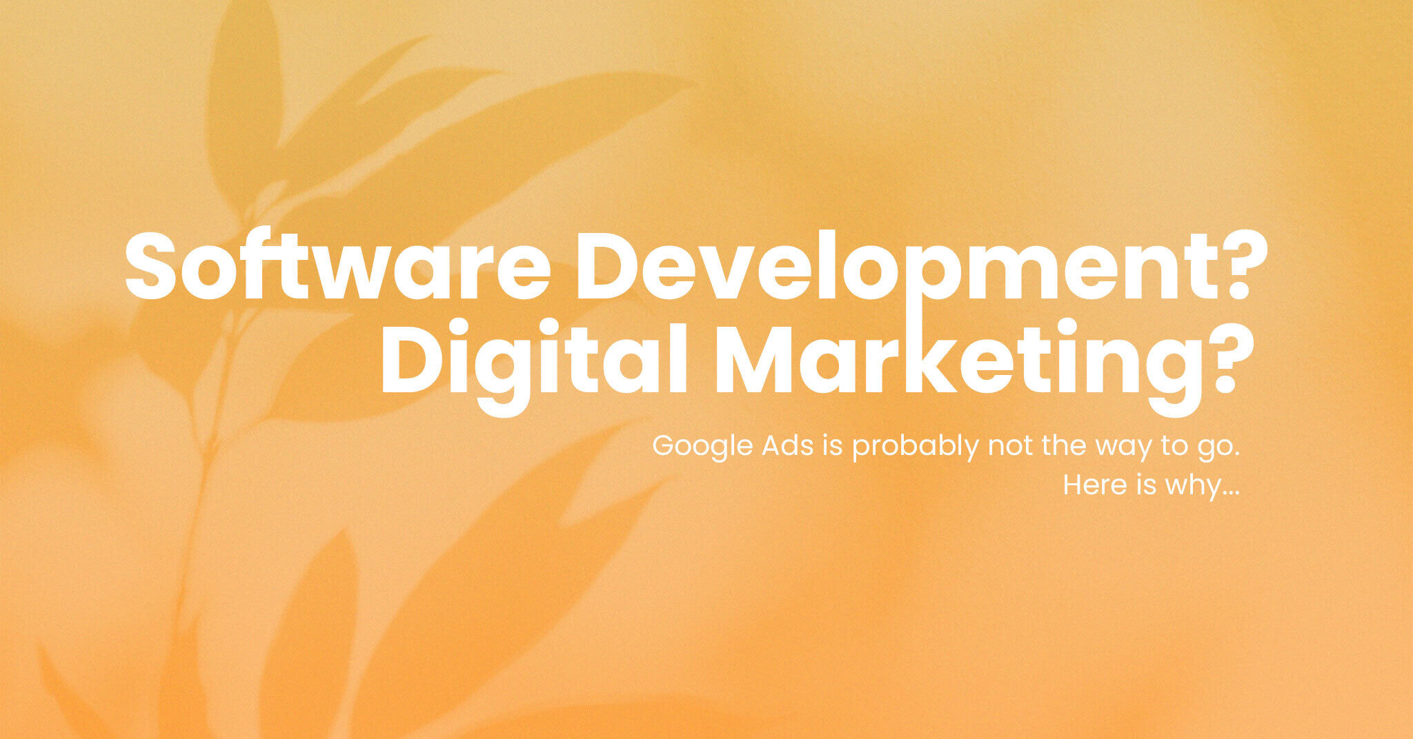 Google Ads in software development or digital marketing